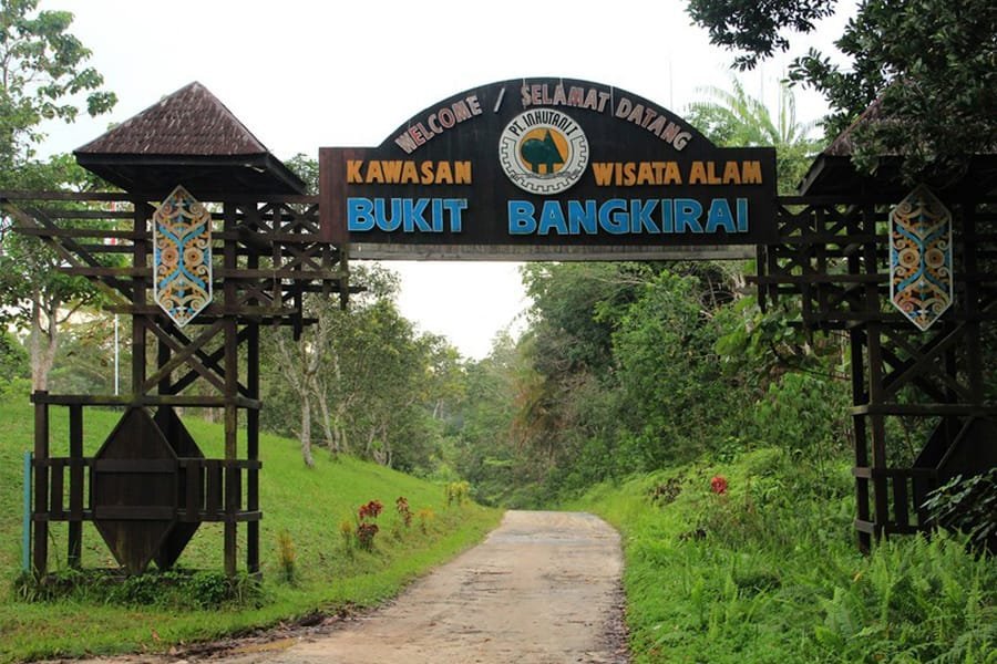 Sewa Mobil Terbaik Balikpapan