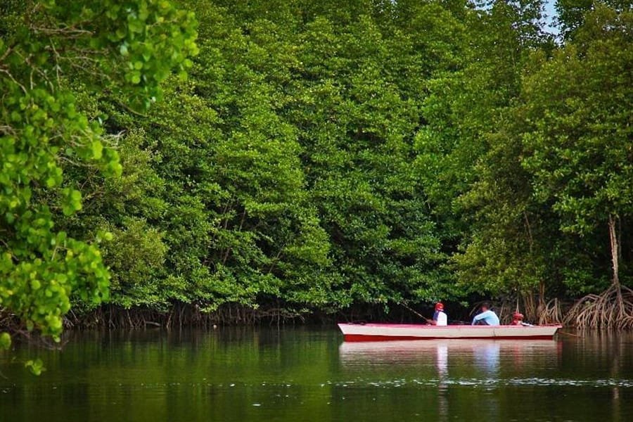 Rental Mobil Keluarga Balikpapan