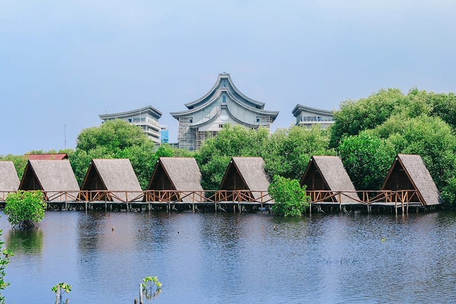 Wisata Taman Mangrove ddengan Sewa Mobil Liburan Jakarta