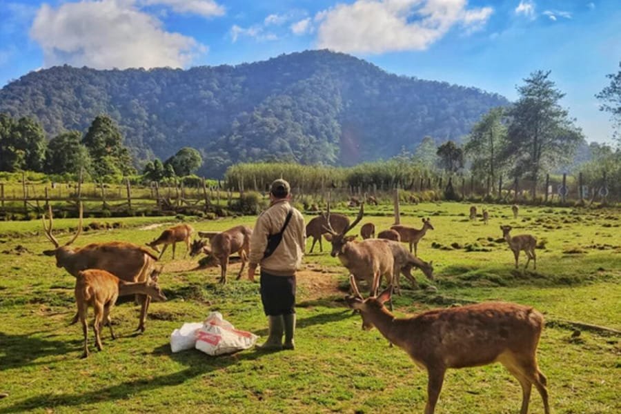Ranca Upas dengan Sewa Mobil wisata Bandung