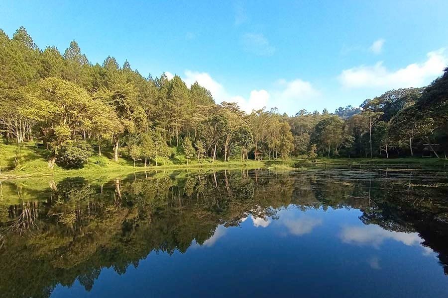 Rental Mobil SUV Bekasi