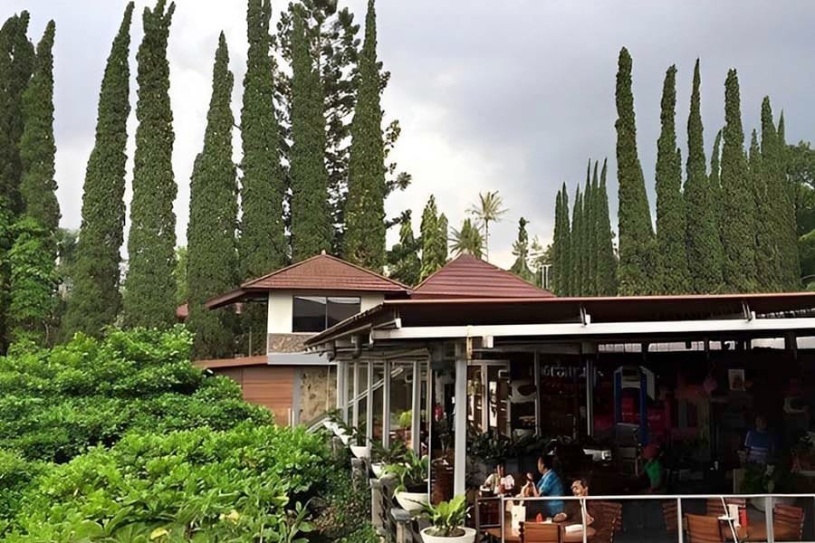 Sewa Mobil MPV Bogor