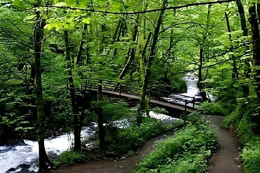 Sewa mobil ternyaman Jambi