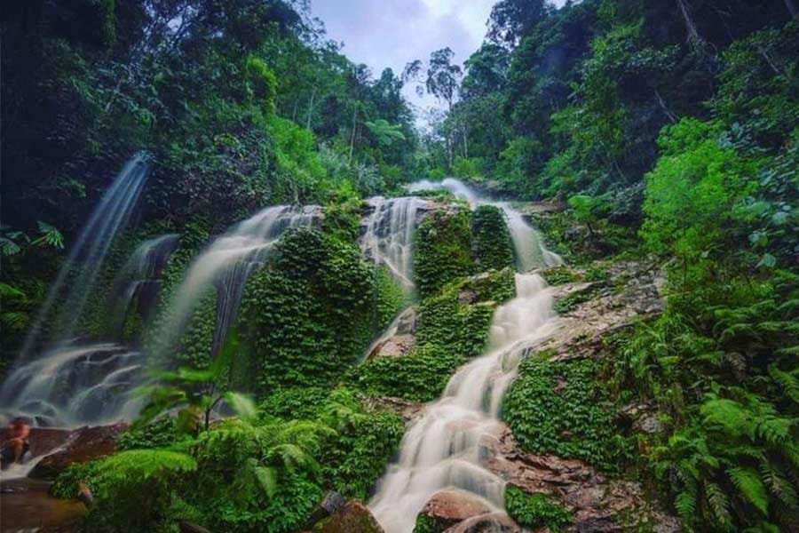 Sewa Mobil MPV Jambi