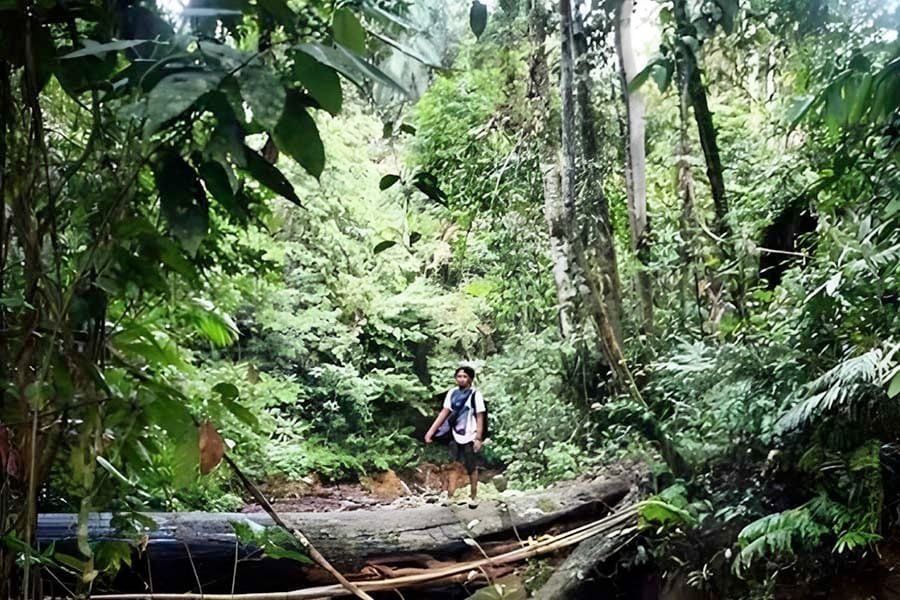 Rental Mobil Liburan Jambi