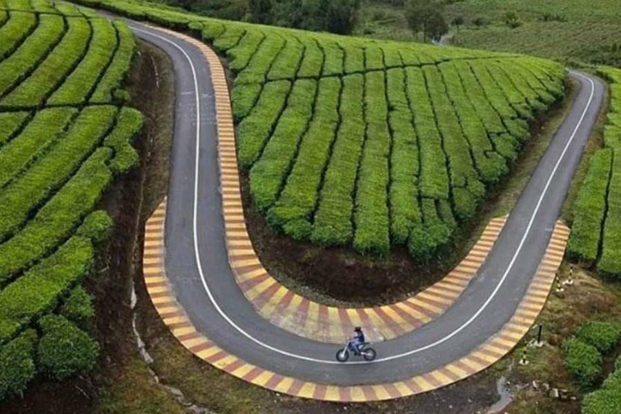 Rental Mobil Terdekat Jambi