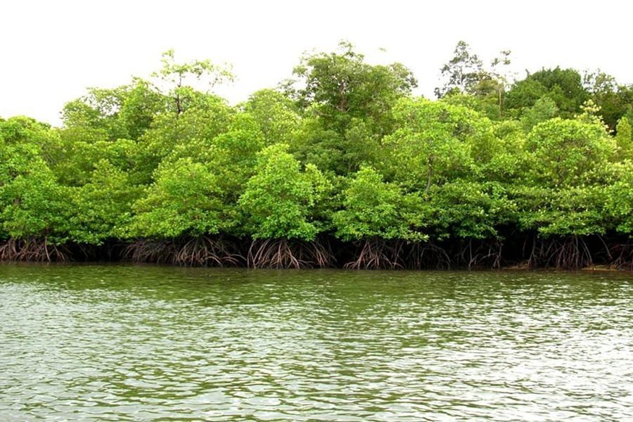 Rental Mobil Terjangkau Karawang