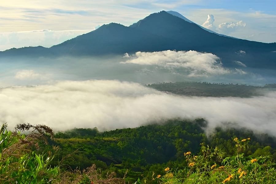 Sewa Mobil All In Karawang