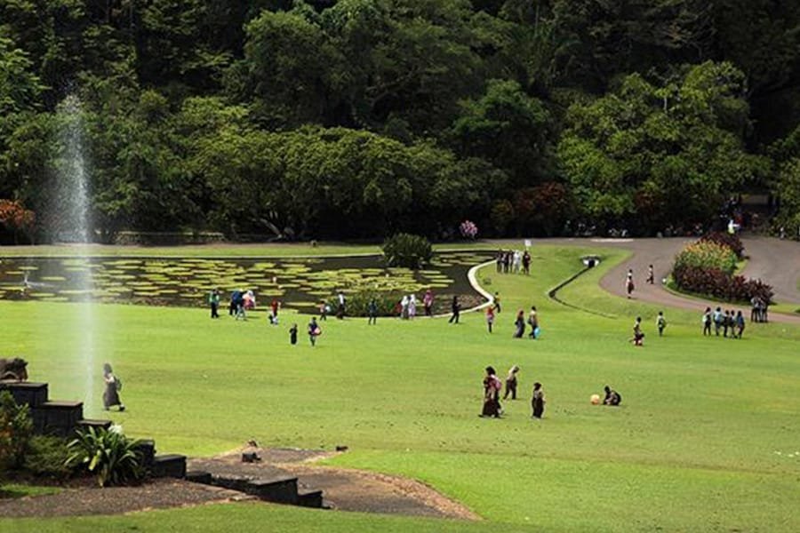 Rental Mobil dengan Supir Karawang