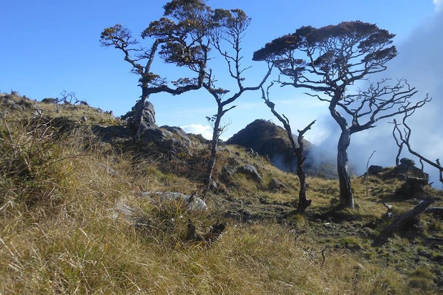 Rental Mobil Terbaik Makassar