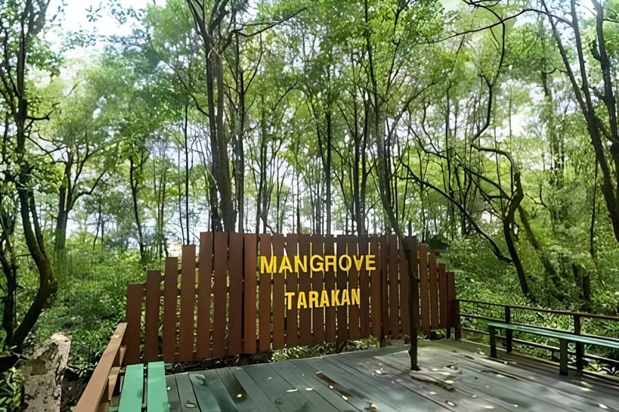 Sewa Mobil MPV Makassar