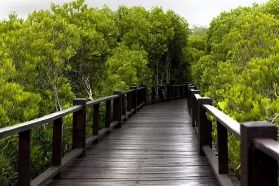 Sewa Mobil Wisata Makassar