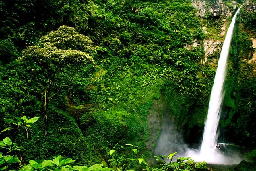 Sewa mobil ternyaman Malang