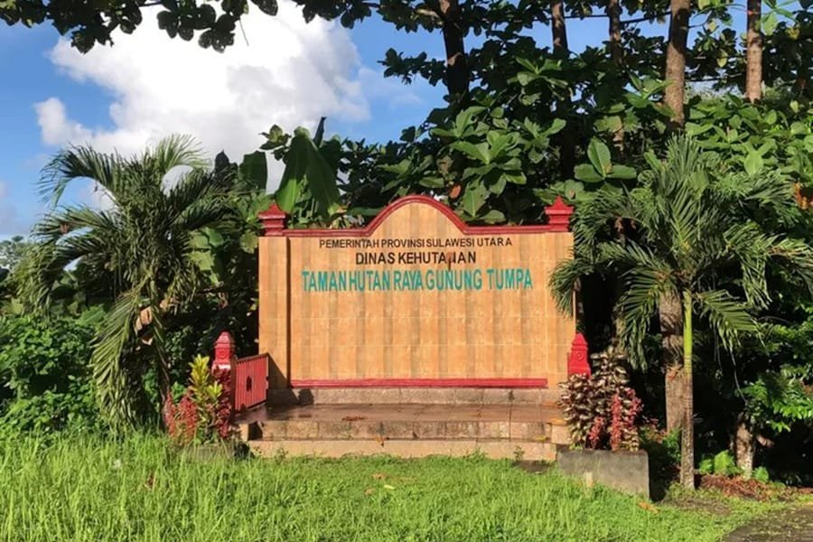 Sewa Mobil MPV Manado