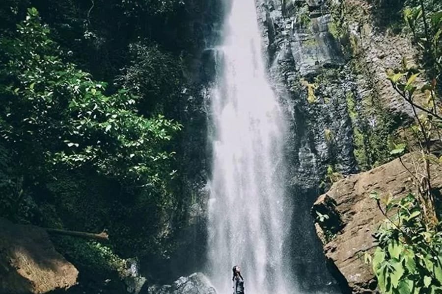 Sewa Mobil All In Manado