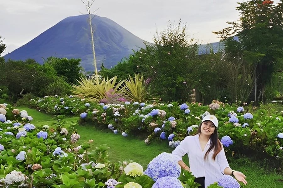 Rental Mobil Terdekat Manado