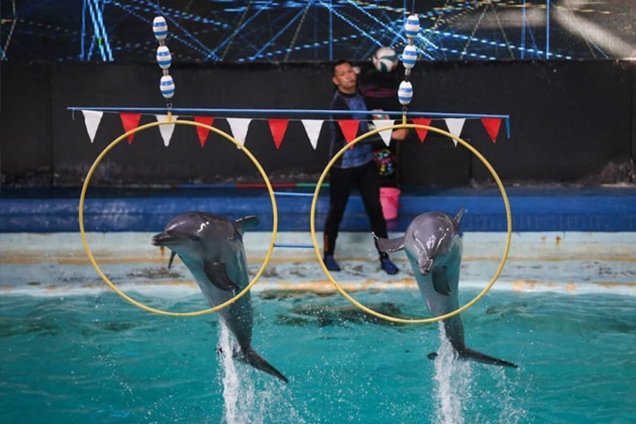 Sewa mobil ternyaman Medan