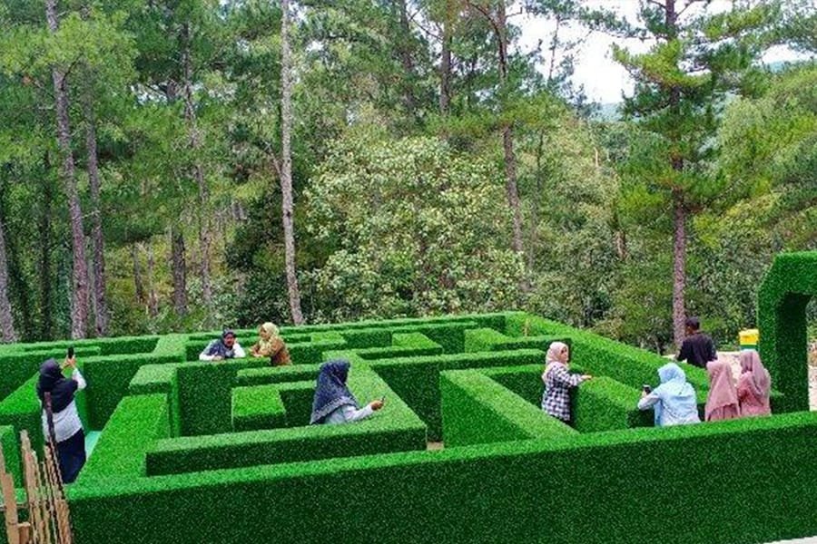 Rental Mobil Terbaik Medan