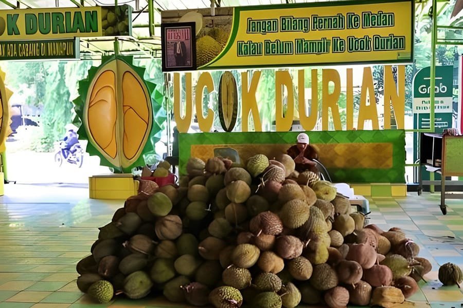 Rental Mobil SUV Medan