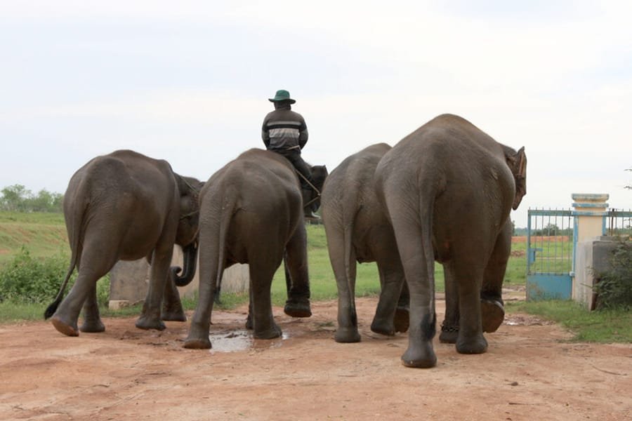 Sewa Mobil Termurah Medan