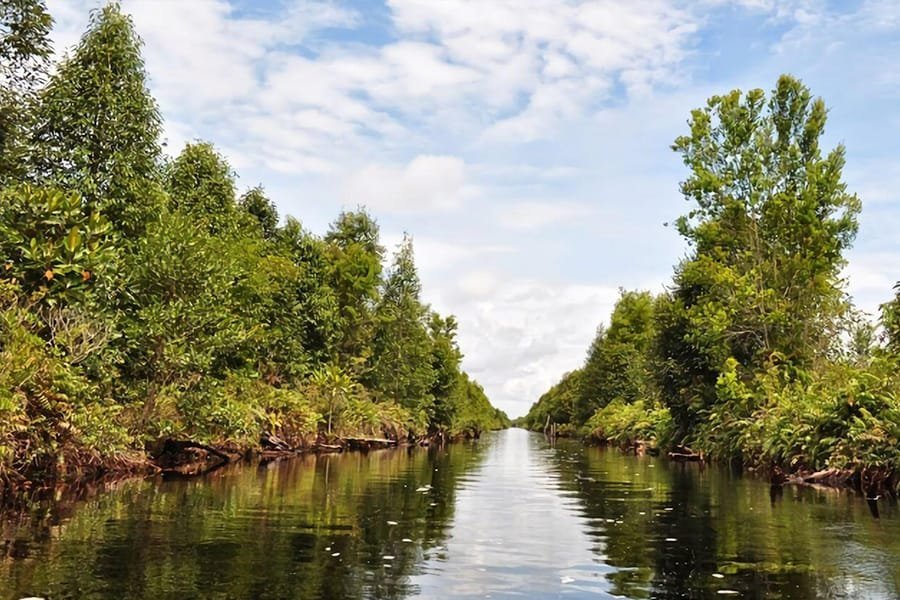 Sewa mobil ternyaman Palangkaraya
