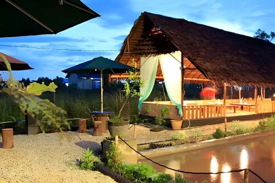 Rental Mobil Terbaik Palangkaraya