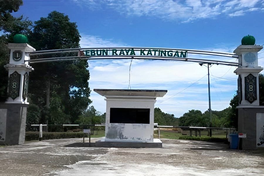 Sewa Mobil MPV Palangkaraya