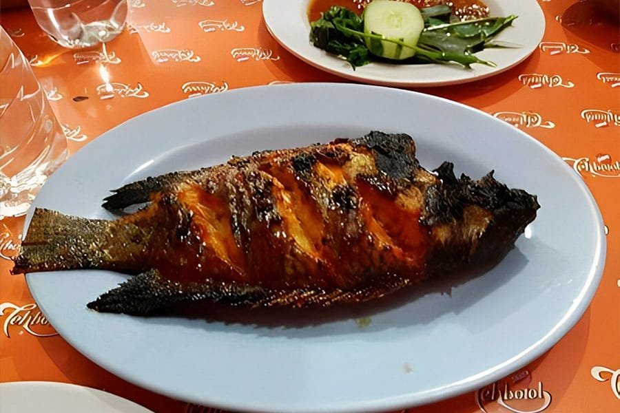 Rental Mobil Keluarga Palangkaraya