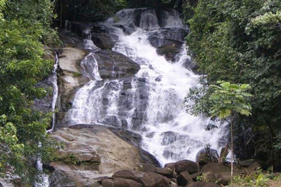 Sewa Mobil Wisata Palangkaraya