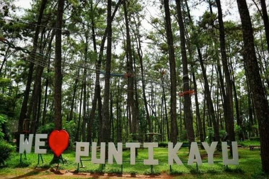 Sewa mobil ternyaman Palembang