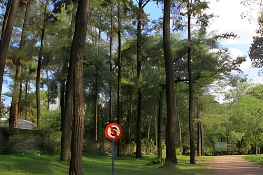 Sewa Mobil Wisata Palembang