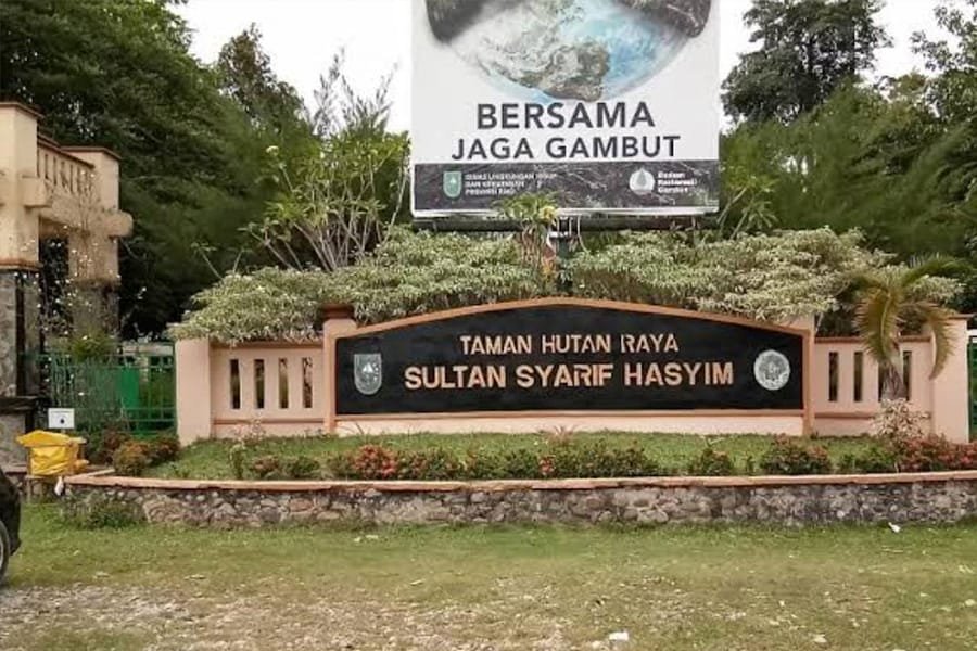 
Rental Mobil Terbaik Pekanbaru