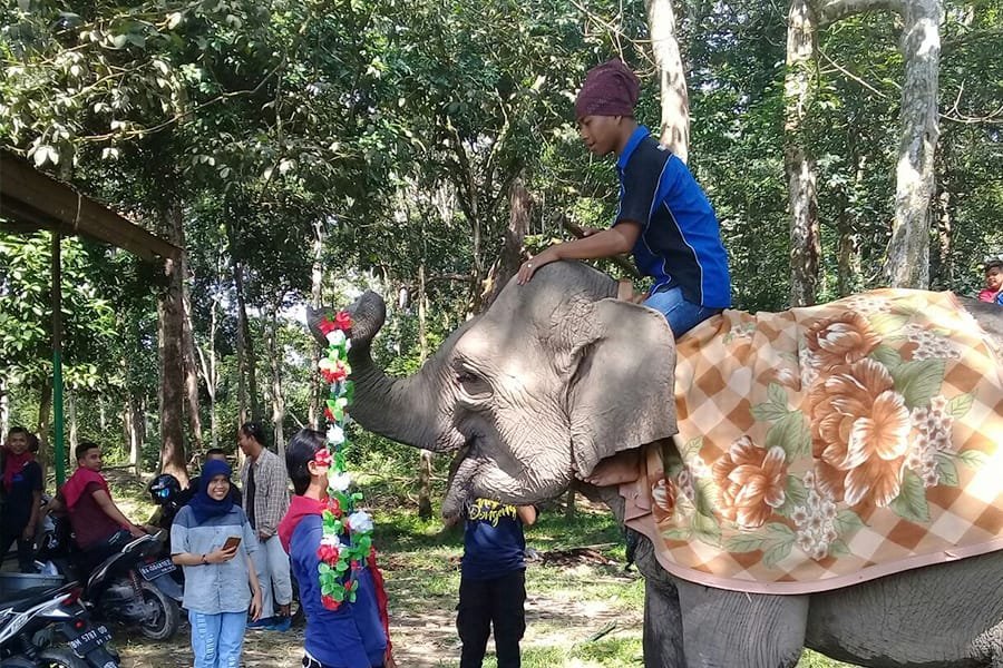 Rental Mobil Liburan Pekanbaru