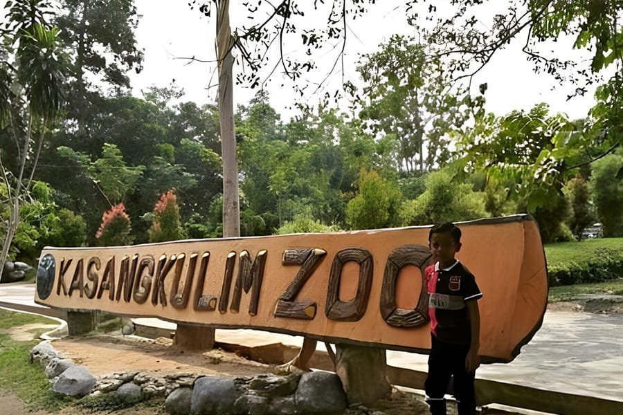 Rental Mobil Terdekat Pekanbaru