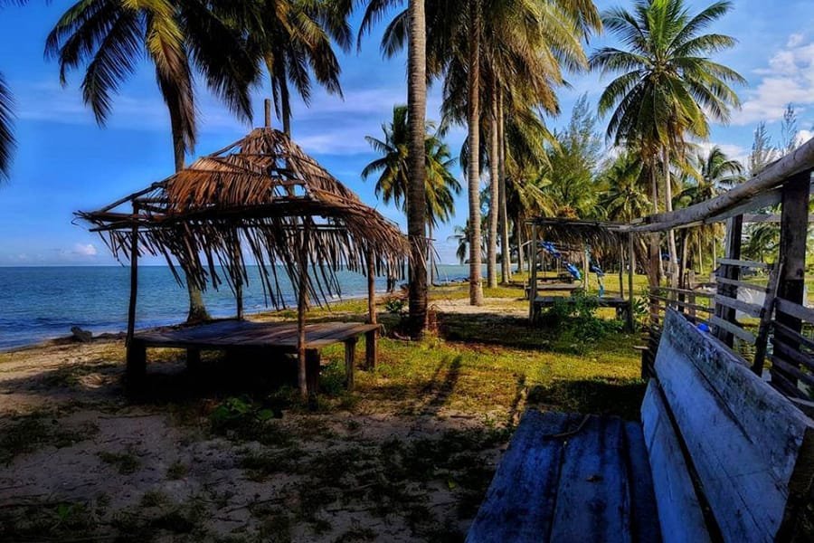 Sewa Mobil All In Samarinda