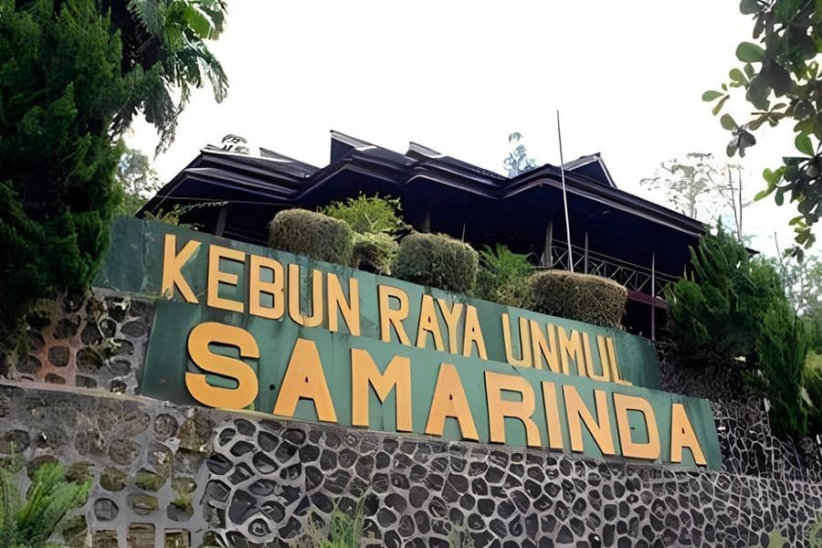 Rental Mobil Liburan Samarinda