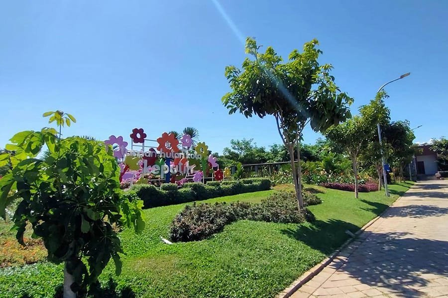 Sewa Mobil Terjangkau Surabaya