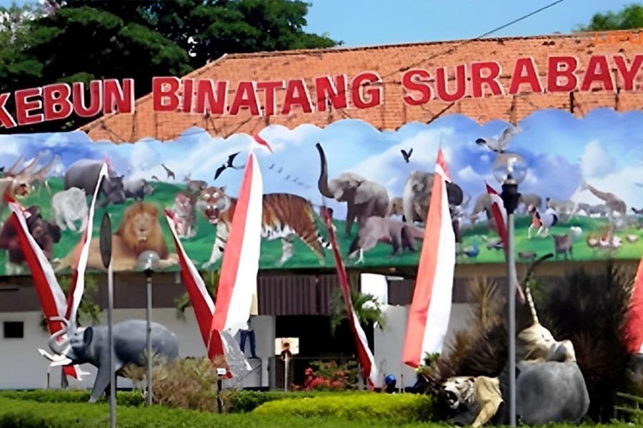 Sewa mobil All In Surabaya