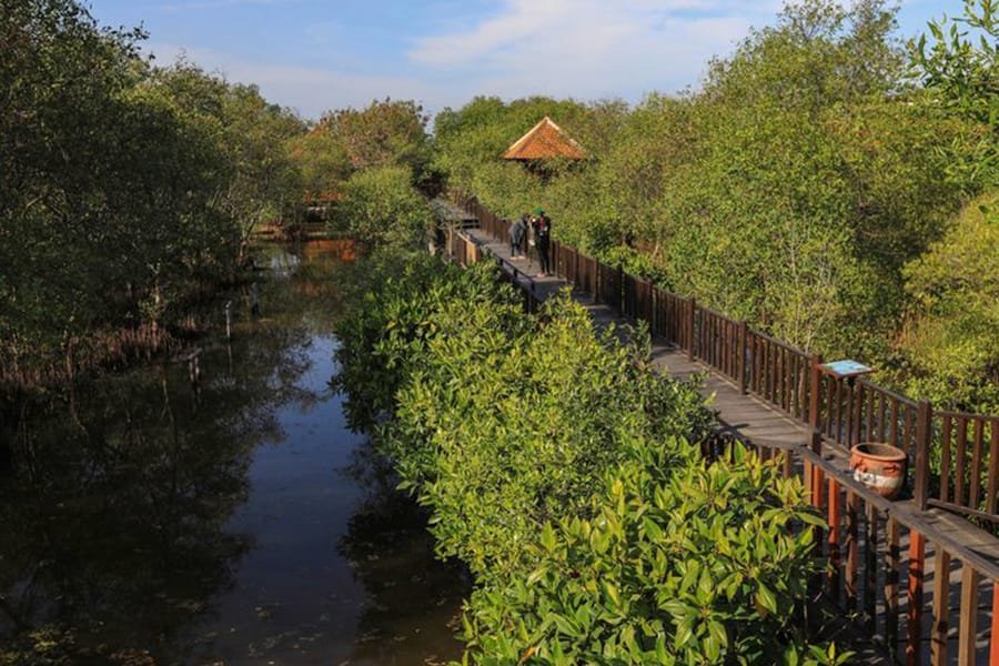 Rental Mobil MPV Surabaya